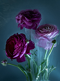 flowers-mini-01