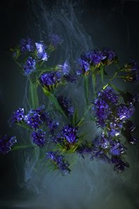 flowers-mini-02