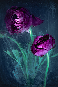 flowers-mini-04