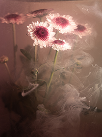 flowers-mini-11