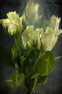 flowers-mini-15