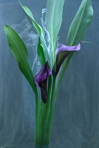 flowers-mini-18