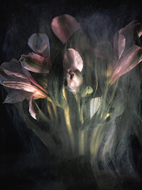 flowers-mini-22