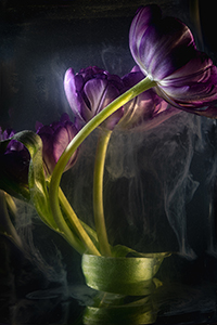 flowers-mini-23