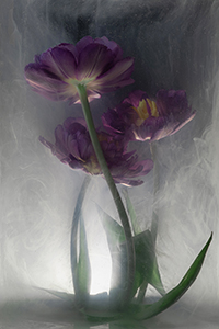 flowers-mini-24