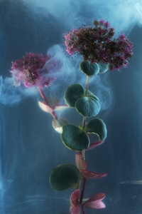 flowers-mini-27