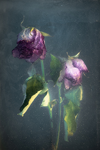 flowers-mini-28