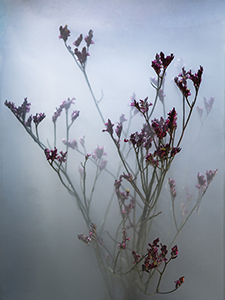 flowers-mini-34